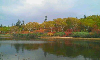 b0083918_21303865.jpg