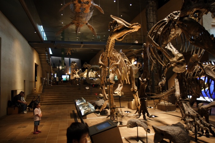 c0089419_117285.jpg