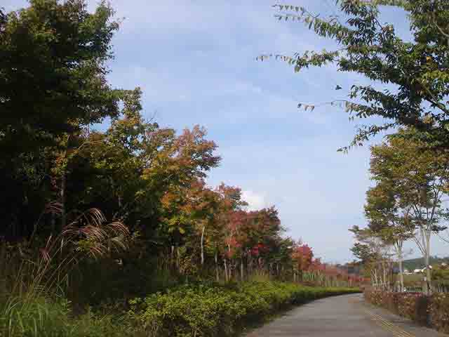 e0083820_11223057.jpg