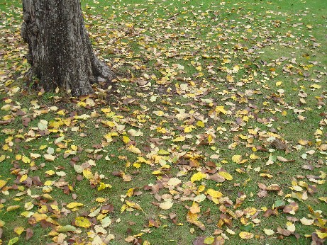 e0114020_18105457.jpg