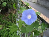 f0139520_16134860.jpg