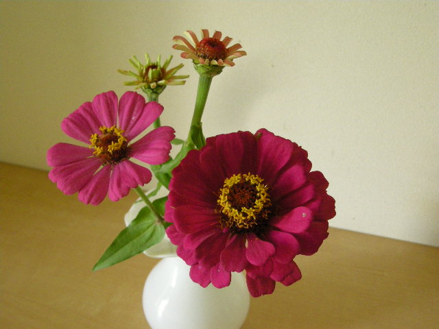 d0127926_2133965.jpg