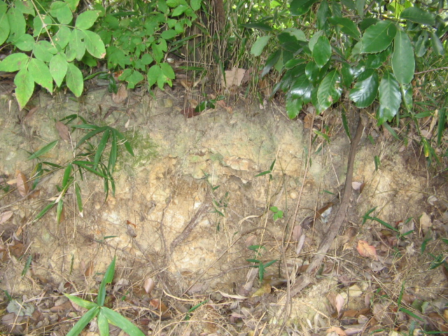 f0009128_16134247.jpg