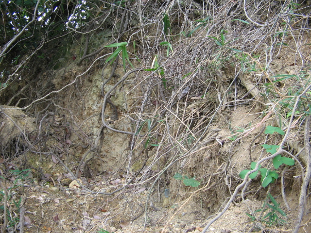 f0009128_16141137.jpg