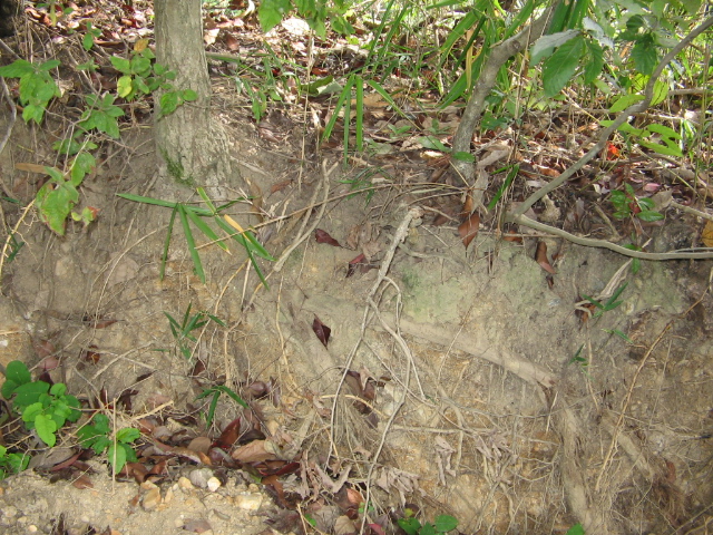 f0009128_16143546.jpg