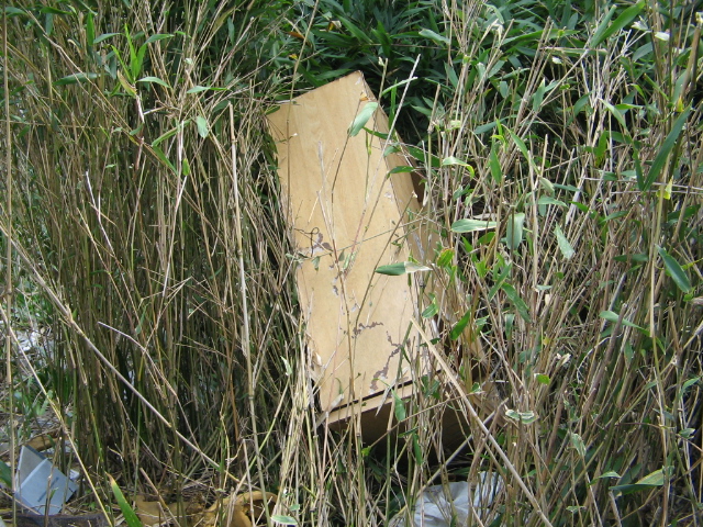 f0009128_16155673.jpg