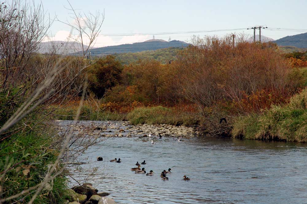 e0037129_16511743.jpg