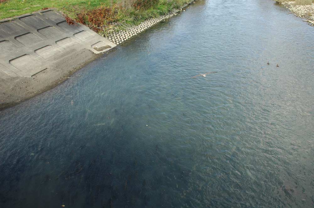 e0037129_16581782.jpg