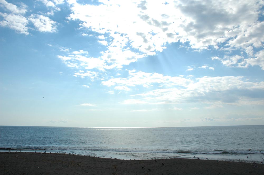 e0037129_1793655.jpg