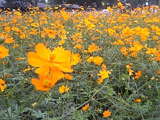 c0086230_2142170.jpg