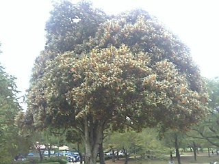 c0086230_21501324.jpg