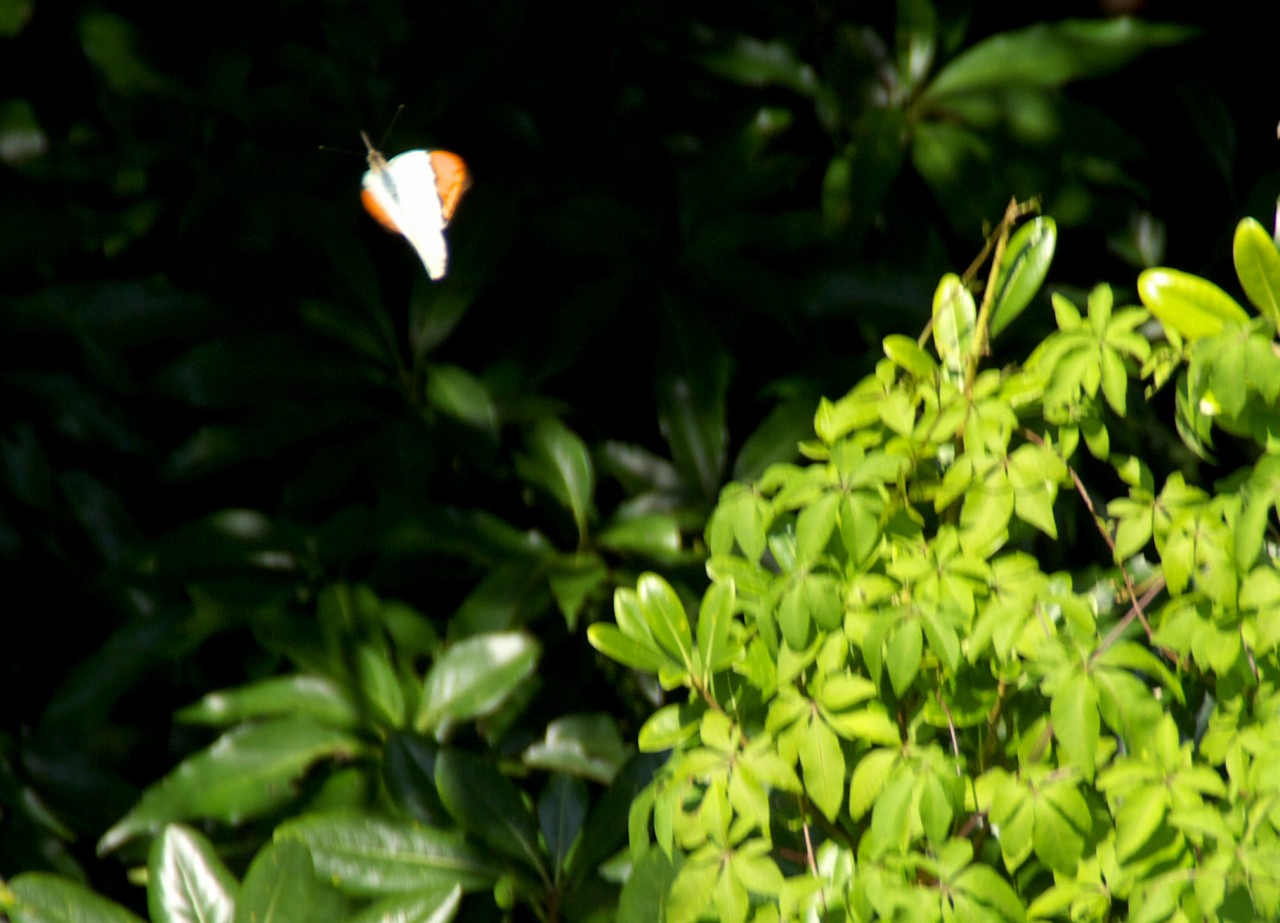 d0053930_6531412.jpg