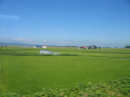 d0085939_22195730.jpg