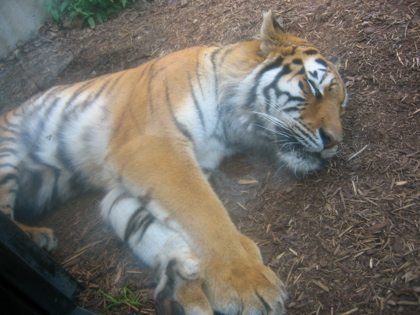 d0085939_22213270.jpg