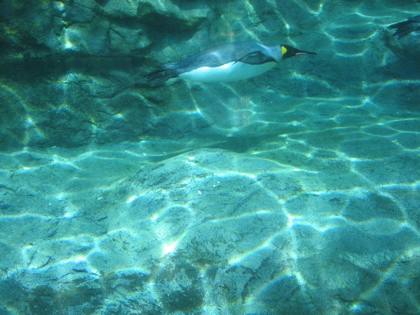 d0085939_222634100.jpg