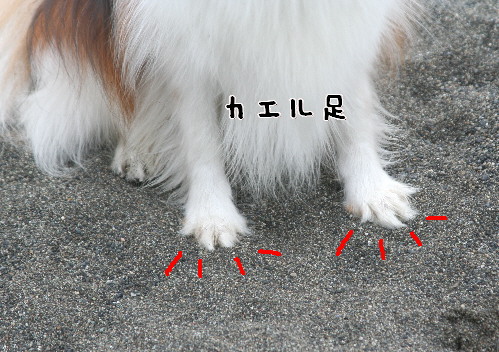 d0013149_21355259.jpg