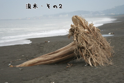 d0013149_23305374.jpg