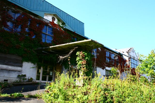 c0009653_218209.jpg