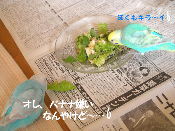 f0132055_1052298.jpg