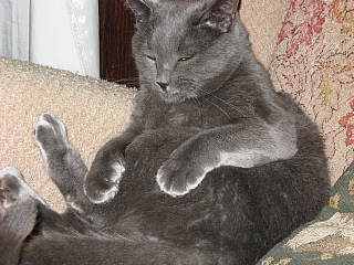 a0021558_94158100.jpg