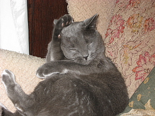 a0021558_943085.jpg