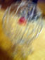 d0029958_19263628.jpg
