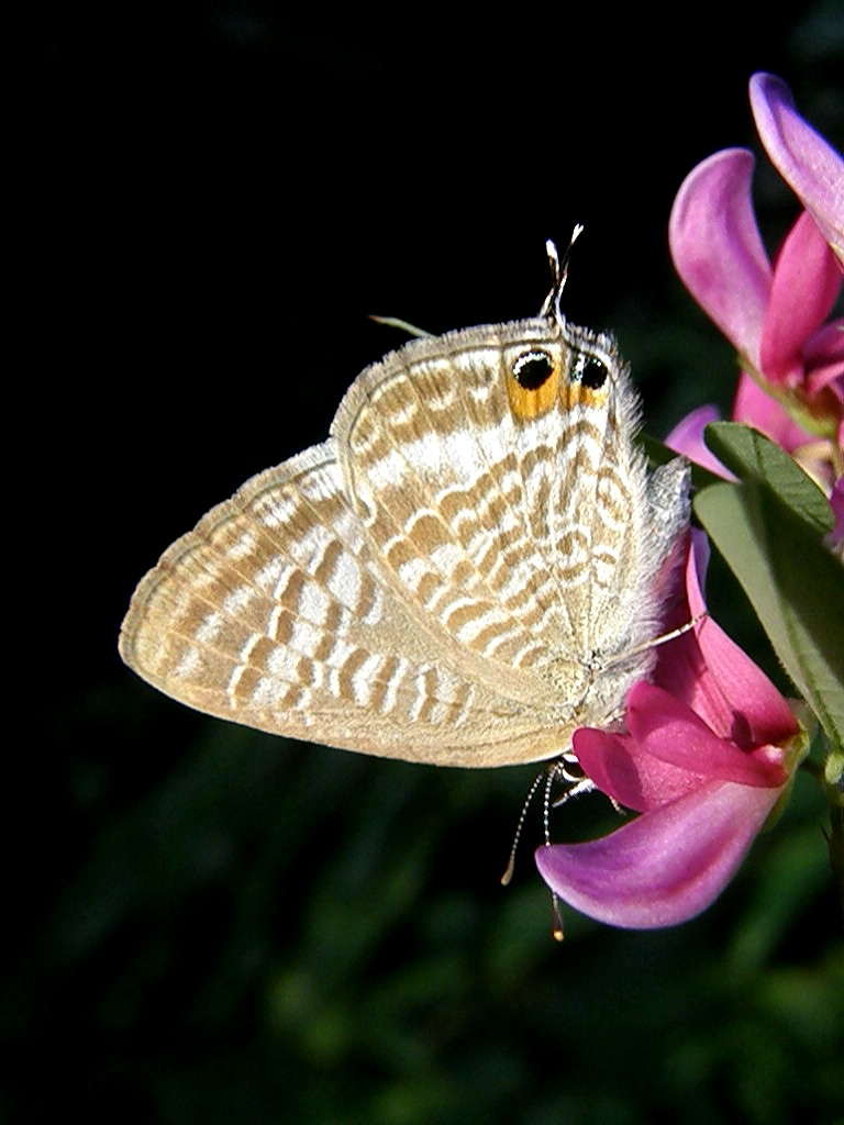 e0064158_220263.jpg