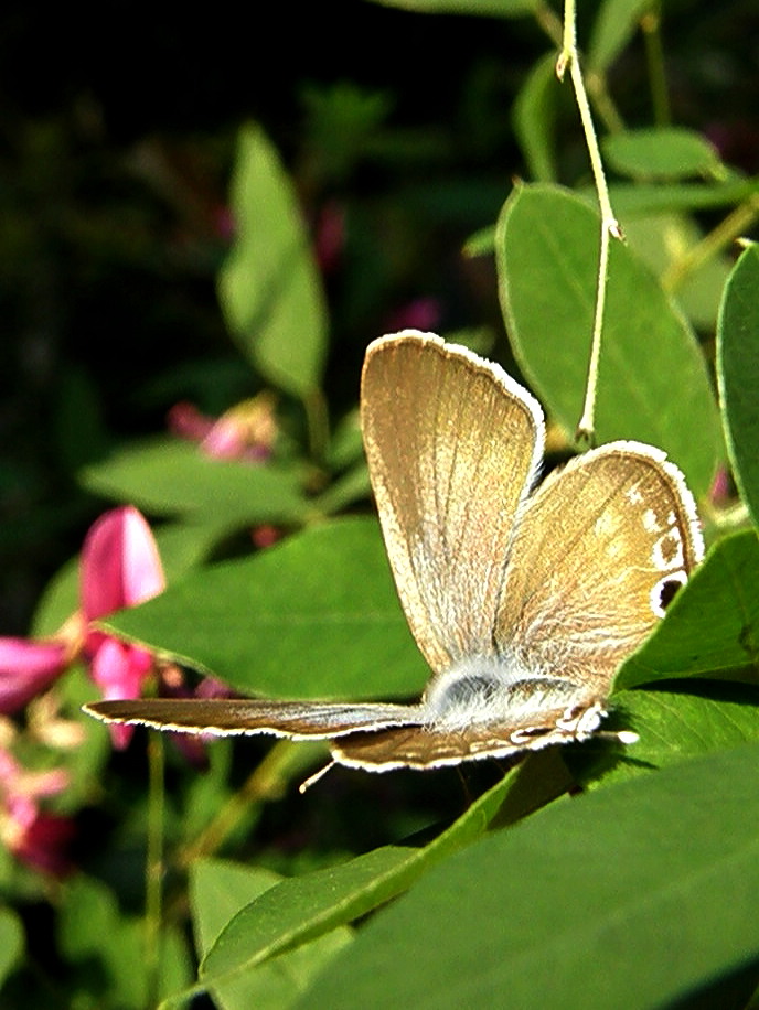 e0064158_221143.jpg