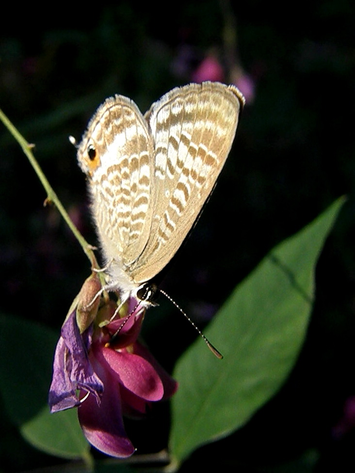 e0064158_2241036.jpg