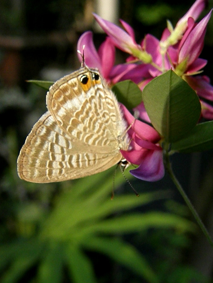 e0064158_2245024.jpg