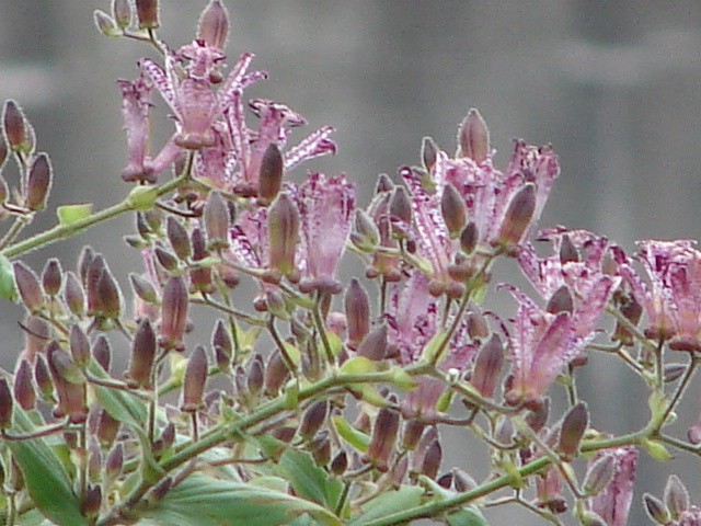 b0061261_014358.jpg