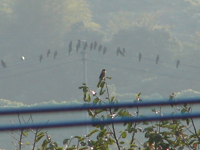 b0061261_02745.jpg