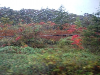 c0078480_22174284.jpg