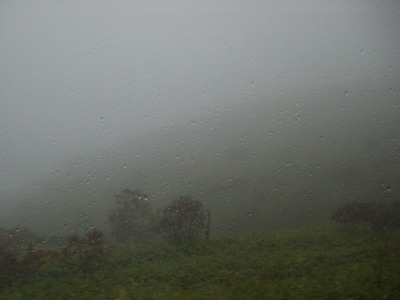 c0078480_2237495.jpg
