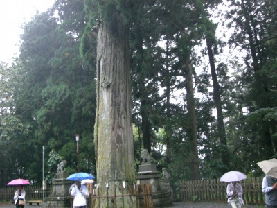 c0078480_2335288.jpg