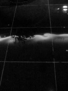 f0100480_1992898.jpg