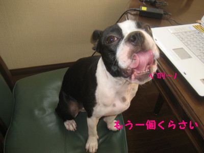 c0092787_9492475.jpg