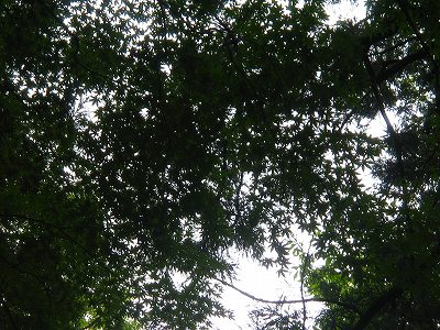 f0047693_2192539.jpg
