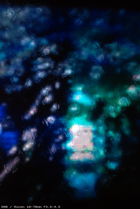 a0062697_2355614.jpg