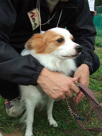 c0044199_21315571.jpg