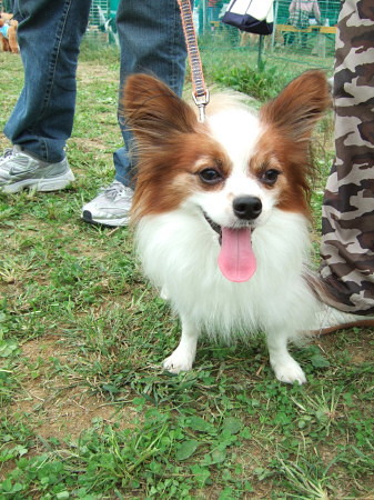 c0044199_21534165.jpg