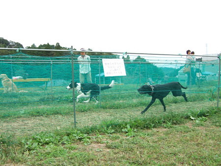 c0044199_21572653.jpg