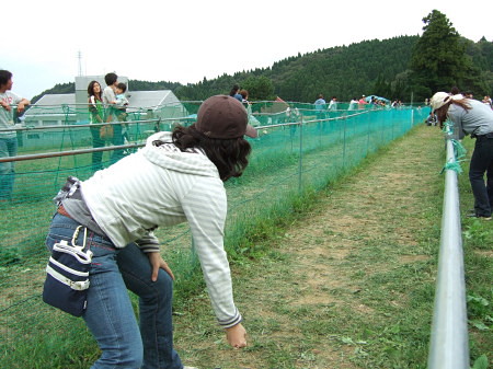 c0044199_21585470.jpg