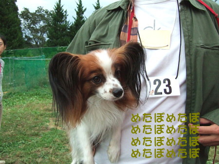 c0044199_2223553.jpg