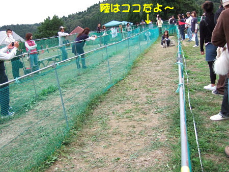 c0044199_22322011.jpg
