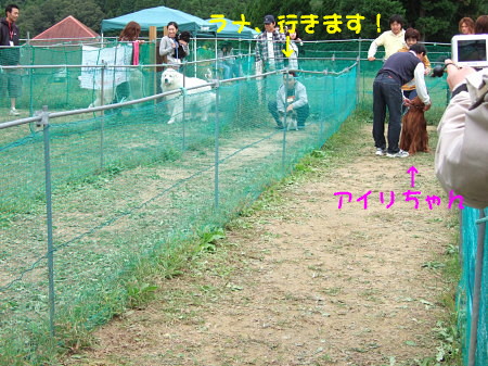 c0044199_2240286.jpg