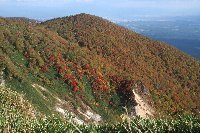 e0122199_10212213.jpg