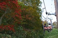 e0122199_10235321.jpg
