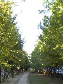 c0097806_223337100.jpg