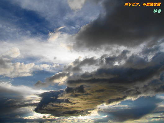 b0051109_11342667.jpg